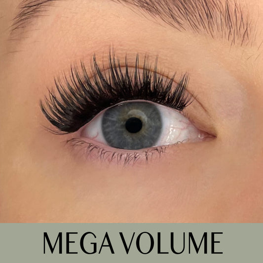 Mega Volume D-curl 2.0 Clusters/Lashes