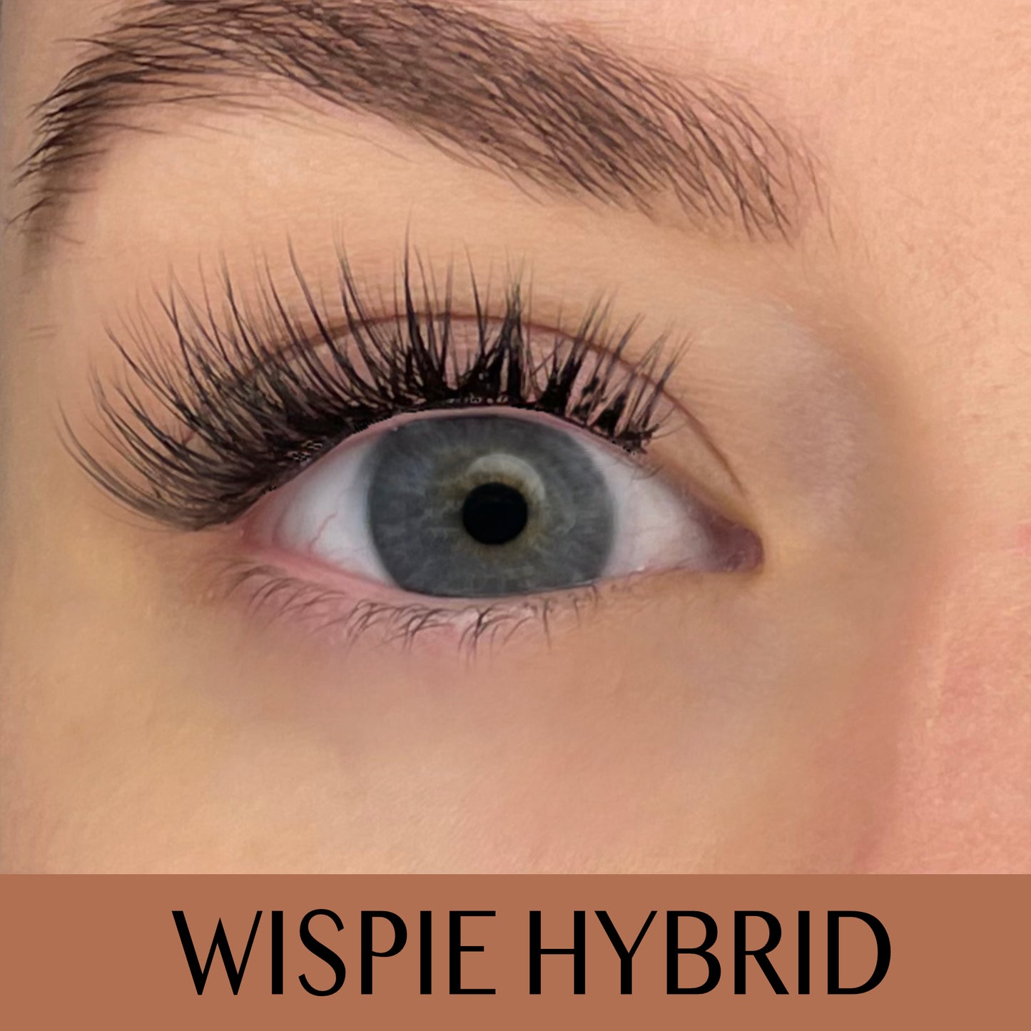 Wispie Hybrid D-curl Clusters/Lashes