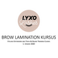 Brow Lamination Kursus (ONLINE)